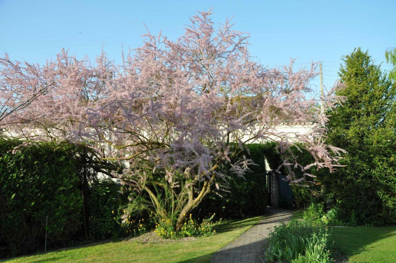 Les Rendzines Nuisement-sur-Coole Exterior foto